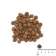 VET EXPERT Raw Paleo Healthy Grain Puppy Salmon and barley - dry dog ​​food - 10 kg DLPVEEKAS0023 – VetExpert Храна за кучета
