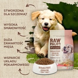 VET EXPERT Raw Paleo Healthy Grain Puppy Salmon and barley - dry dog ​​food - 2 kg