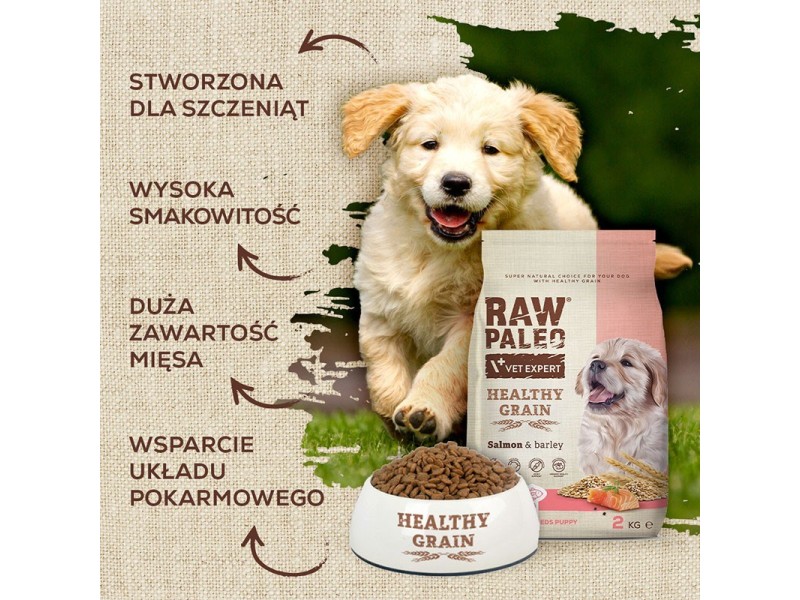 VET EXPERT Raw Paleo Healthy Grain Puppy Salmon and barley - dry dog ​​food - 2 kg DLPVEEKAS0024 – VetExpert Храна за кучета