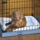 FERPLAST Superior 90 - dog cage - 92 x 58.5 x 62.5 cm 73188101 – FERPLAST Клетки и хранилки