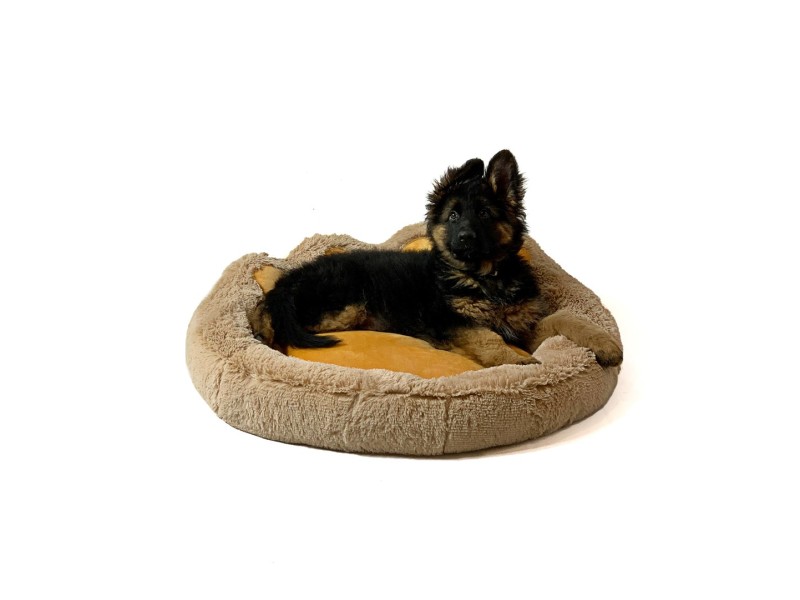 GO GIFT Dog and cat bed XXL - camel - 85x85 cm DLZGGFDSU0037 – Go Gift Легла, постелки и къщички