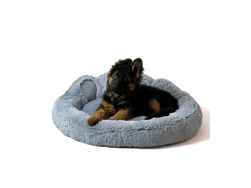 GO GIFT Dog and cat bed XXL - grey - 85x85 cm DLZGGFDSU0034 – Go Gift Легла, постелки и къщички