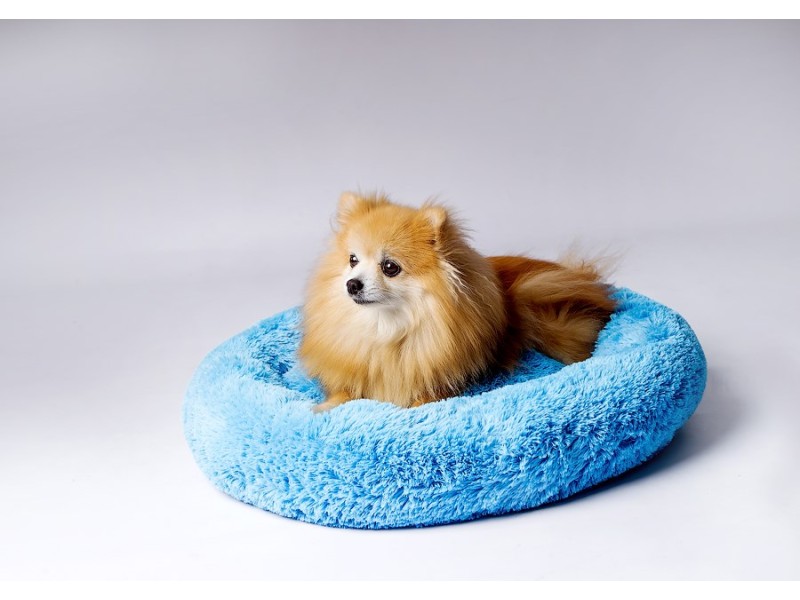 GO GIFT Shaggy blue M - pet bed - 57 x 57 x 10 cm DLZGGFDSU0062 – Go Gift Легла, постелки и къщички