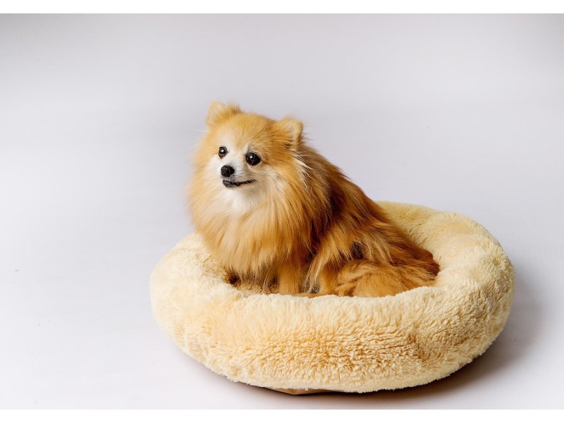 GO GIFT Shaggy cream L - pet bed - 66 x 66 x 10 cm DLZGGFDSU0060 – Go Gift Легла, постелки и къщички