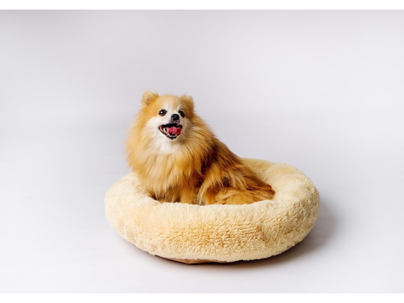 GO GIFT Shaggy cream M - pet bed - 57 x 57 x 10 cm DLZGGFDSU0059 – Go Gift Легла, постелки и къщички
