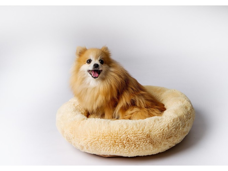 GO GIFT Shaggy cream XL - pet bed - 80 x 83 x 10 cm DLZGGFDSU0061 – Go Gift Легла, постелки и къщички