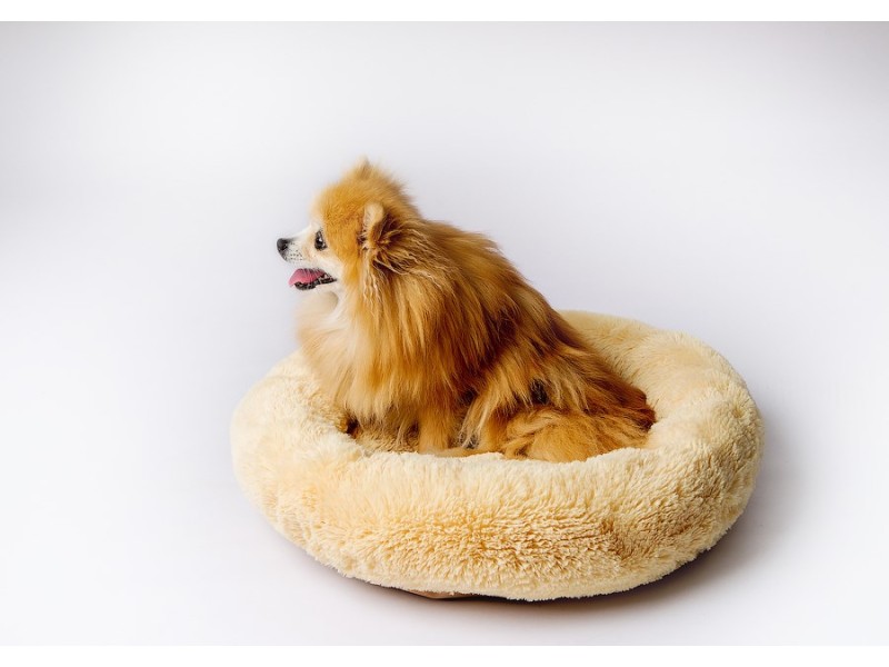 GO GIFT Shaggy cream XL - pet bed - 80 x 83 x 10 cm DLZGGFDSU0061 – Go Gift Легла, постелки и къщички