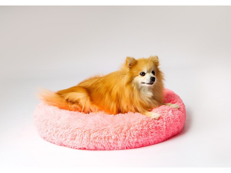 GO GIFT Shaggy pink M - pet bed - 57 x 57 x 10 cm DLZGGFDSU0065 – Go Gift Легла, постелки и къщички