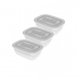 ROTHO Freeze - freezer container - 3x1l