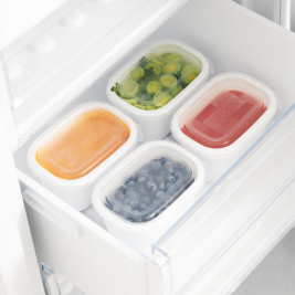 ROTHO Freeze - freezer container - 4x750ml