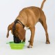 TRIXIE muzzle for dog - size M-L - black TX-17613 – TRIXIE Каишки