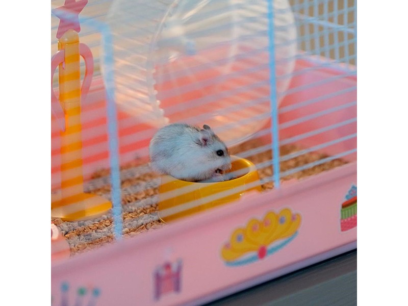 FERPLAST Criceti 9 Princess - Cage 57009062 – FERPLAST Клетки и хранилки