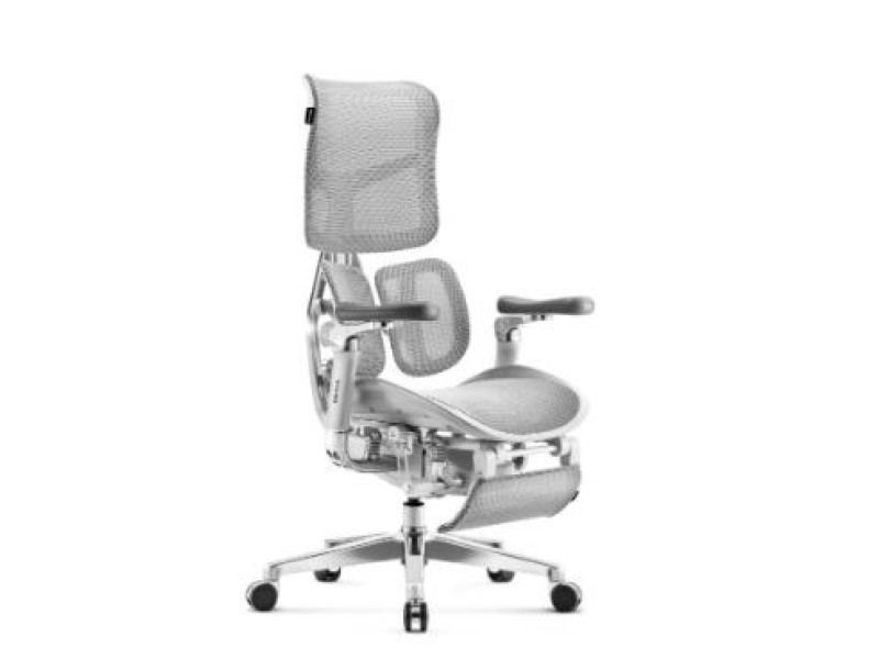Diablo Brave V-Kinetic gaming chair grey 1465 –  Геймърски столове