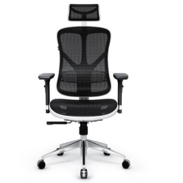 Diablo V-BASIC gaming chair white and black