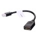 Lanberg AD-0003-BK DisplayPort cable 0.12 m Mini DisplayPort Black AD-0003-BK – Lanberg  Адаптери