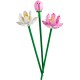 LEGO 40647 LOTUS FLOWERS 40647 – Lego Конструктори