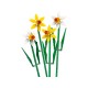 LEGO 40747 DAFFODILS 40747 – Lego Конструктори