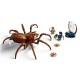 LEGO HARRY POTTER 76434 Aragog in the Forbidden Forest 76434 – Lego Конструктори