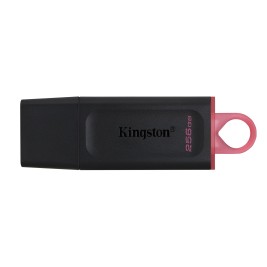 Kingston Technology DataTraveler Exodia - USB 3.2 Flash Drive