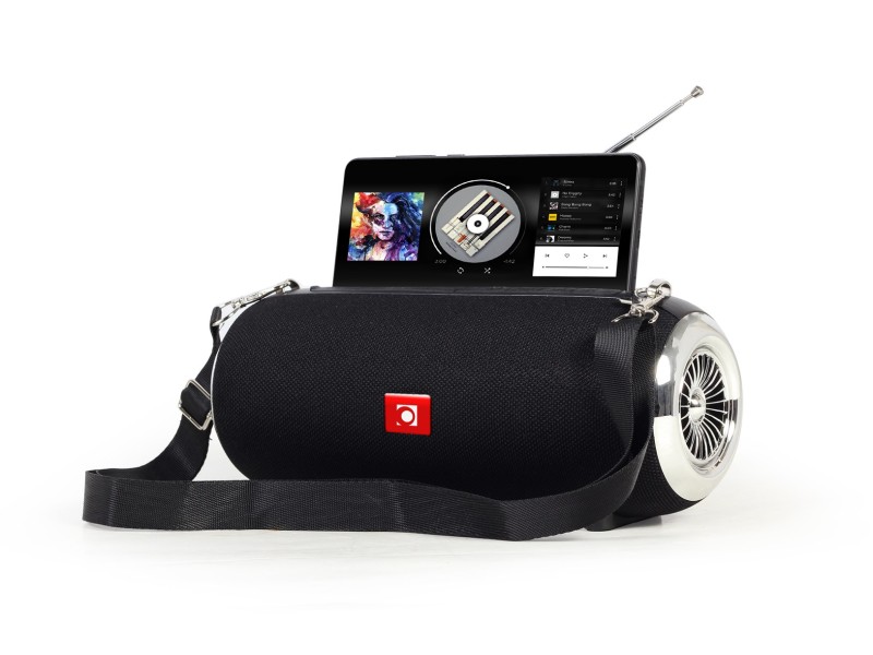 Gembird SPK-BT-17 portable Bluetooth speaker with FM-radio, black SPK-BT-17 – GEMBIRD Тонколони