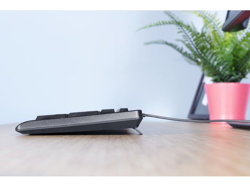 Trust Primo keyboard USB QWERTY US English Black 23880 – TRUST Геймърски клавиатури