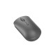 Lenovo 540 mouse Ambidextrous RF Wireless Optical 2400 DPI GY51D20867 – Lenovo Мишки