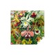 Imagination Puzzle: Ernst Haeckel Orchid 1000 elements 5908305247531 – Cenega Publishing Пъзели