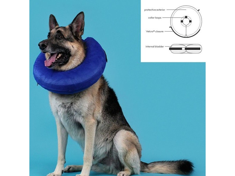 Нашийник за Възстановяване за Кучета KVP Kong Cloud Син Надуваем