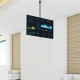 Поставка за телевизор Startech FLATPNLCEIL
