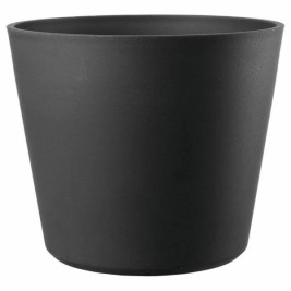 Саксия Deroma