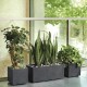 Саксия Deroma Антрацит 25 cm Пластмаса Квадратек Кубче Ø 25 cm