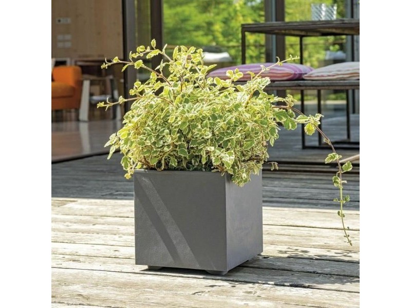 Саксия Deroma Антрацит 25 cm Пластмаса Квадратек Кубче Ø 25 cm