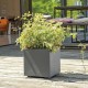 Саксия Deroma Антрацит 25 cm Пластмаса Квадратек Кубче Ø 25 cm Саксия Deroma Антрацит 25 cm Пластмаса Квадратек Кубче Ø 25 cm