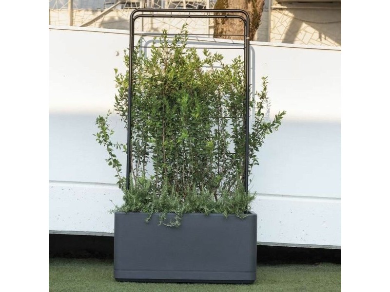 Самополиваща Сеялка Deroma Антрацит 78 x 38 x 39 cm Пластмаса Квадратен Самополиваща Сеялка Deroma Антрацит 78 x 38 x 39 cm Пластмаса Квадратен