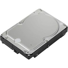 Твърд диск Lenovo 4XB0X87802 3,5