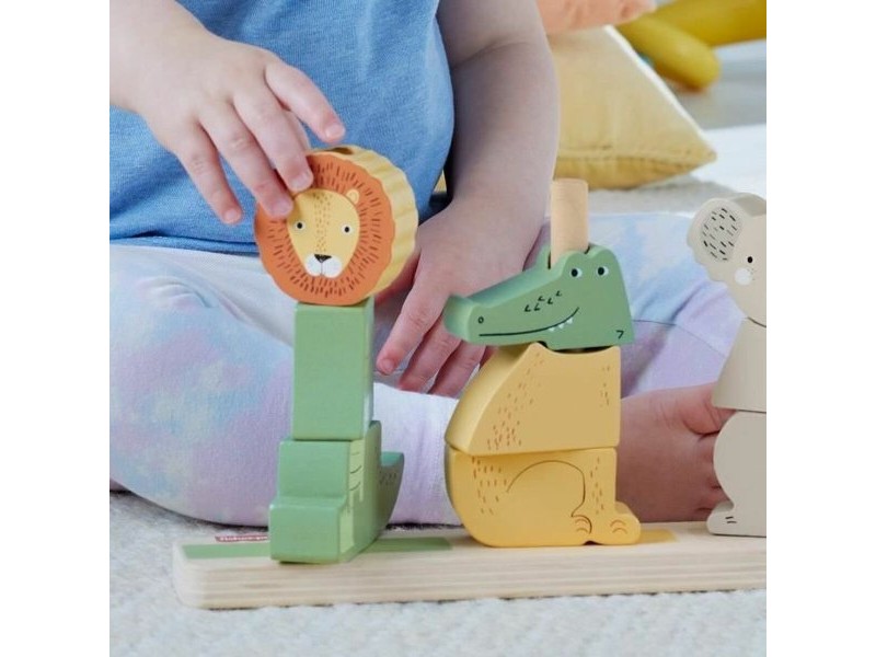 Образователна Игра Fisher-Price HXV04