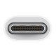 USB Aдаптер Apple MW5L3ZM/A