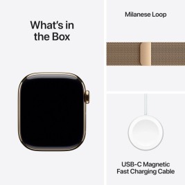 Мъжки часовник Apple MX083QL/A Златен