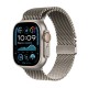 Мъжки часовник Apple MX4M3TY/A Титанов