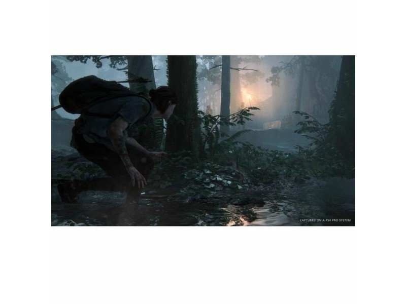 Видеоигра PlayStation 4 Naughty Dog The Last of Us: Part 2
