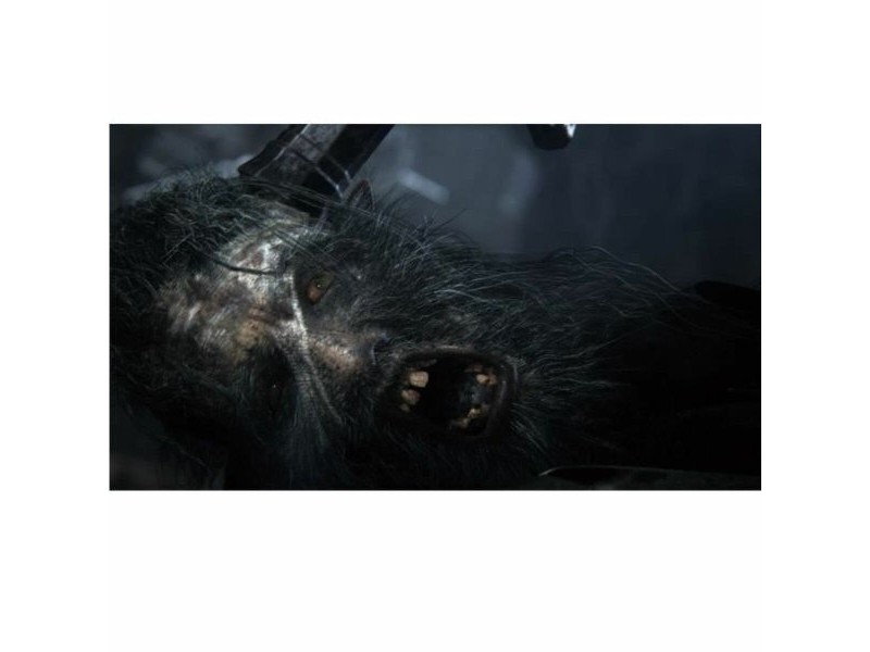Видеоигра PlayStation 4 Sony Bloodborne PlayStation Hits