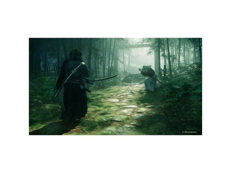Видеоигра PlayStation 5 Sony Rise of the Ronin (FR)