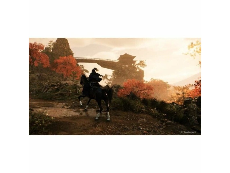 Видеоигра PlayStation 5 Sony Rise of the Ronin (FR)