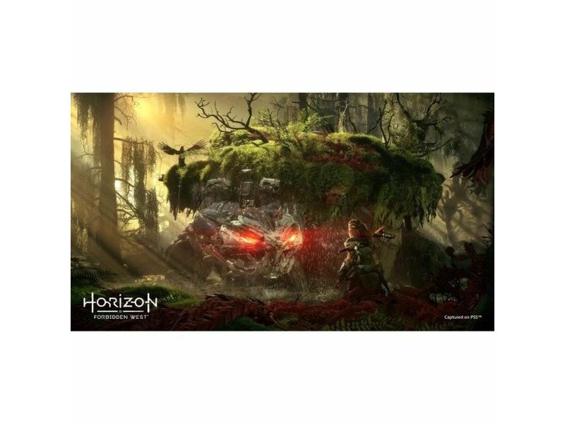 Видеоигра PlayStation 4 Guerrilla Games Horizon: Forbidden West