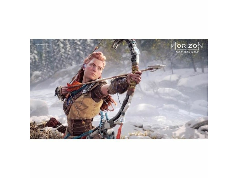 Видеоигра PlayStation 4 Guerrilla Games Horizon: Forbidden West