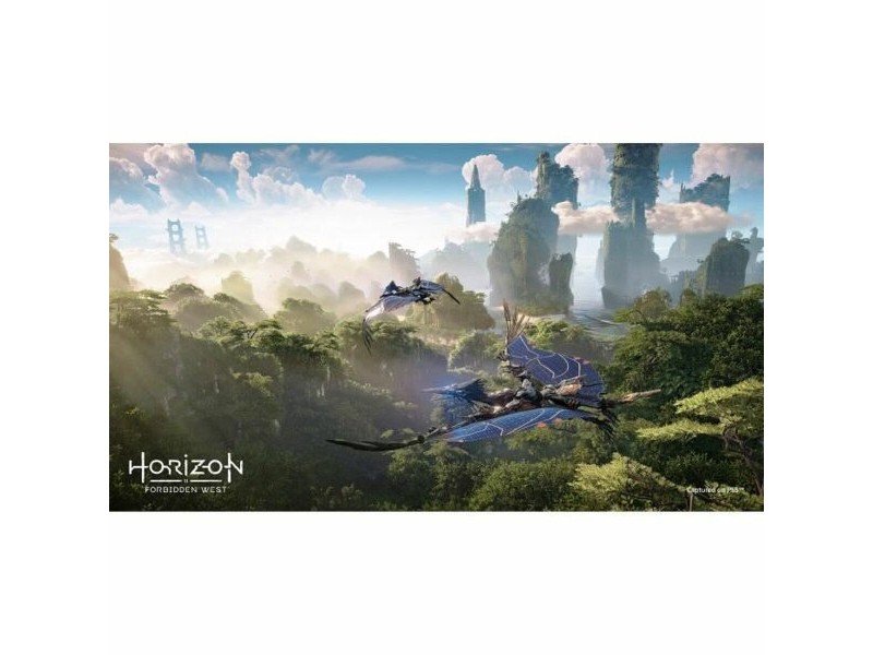 Видеоигра PlayStation 4 Guerrilla Games Horizon: Forbidden West