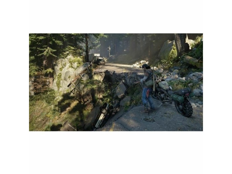 Видеоигра PlayStation 4 Sony Days Gone
