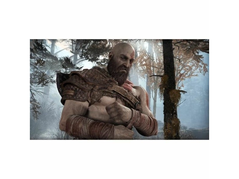 Видеоигра PlayStation 4 Santa Monica Studio Gof of War Playstation Hits