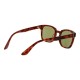 Слънчеви очила унисекс Serengeti SS575006 ETHAN