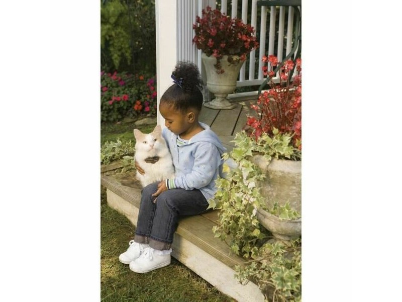 Безжична Система за Сдържане на Домашни Любимци PetSafe Pcf-1000-20